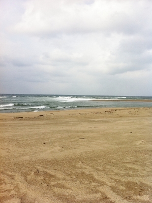 d0235093_172642.jpg