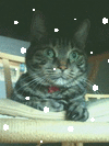 d0057701_9314233.gif