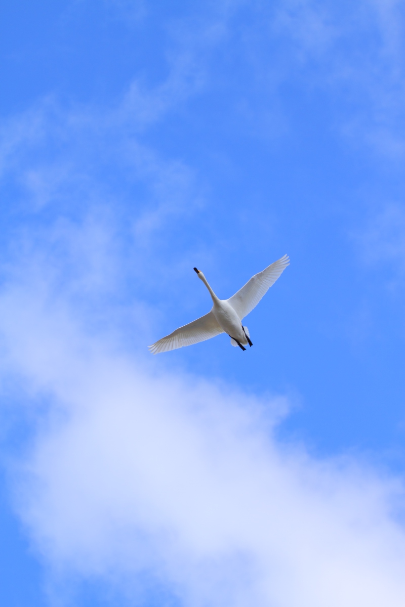 a0155104_1956133.jpg