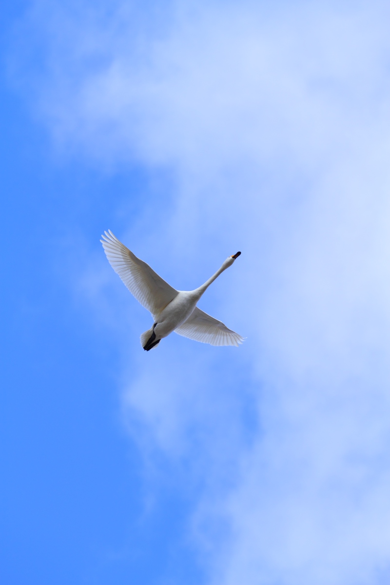 a0155104_195687.jpg