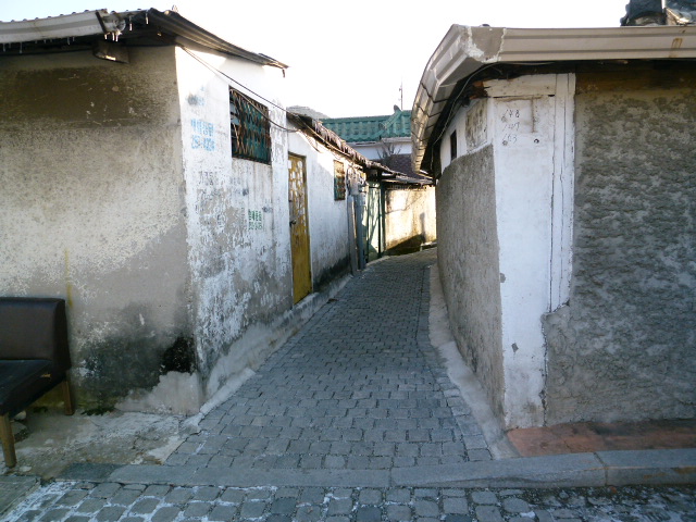 a0140305_3564140.jpg