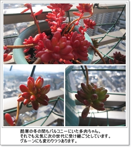 a0105023_1421128.jpg
