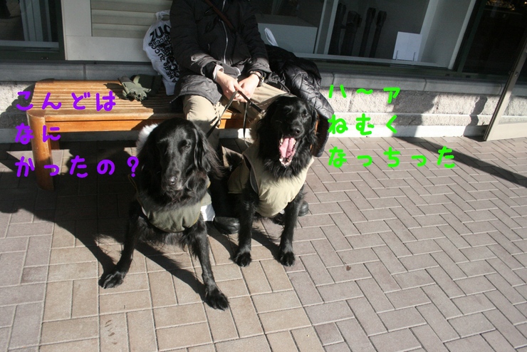 c0237824_04773.jpg