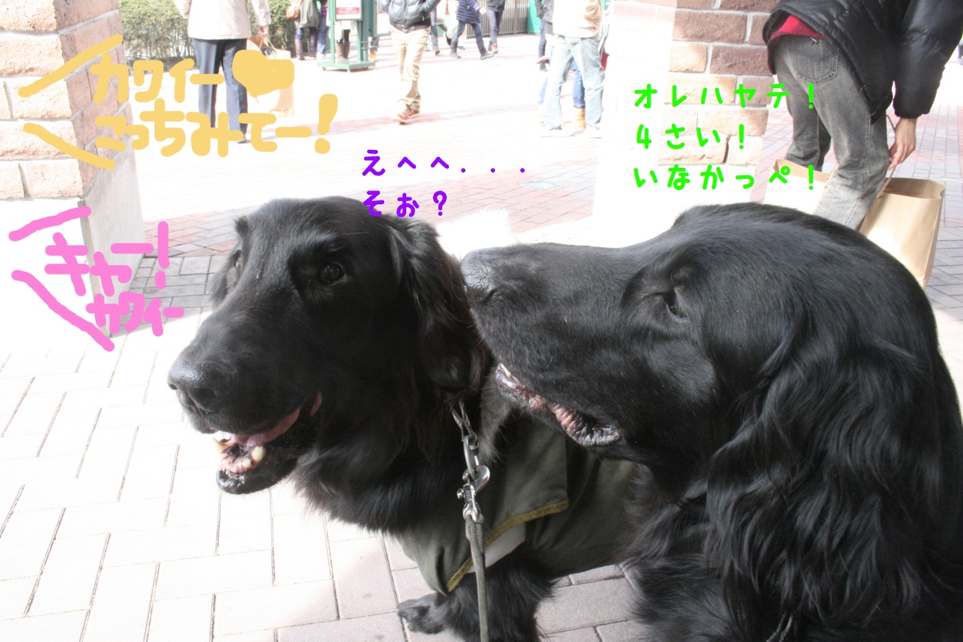 c0237824_0523765.jpg