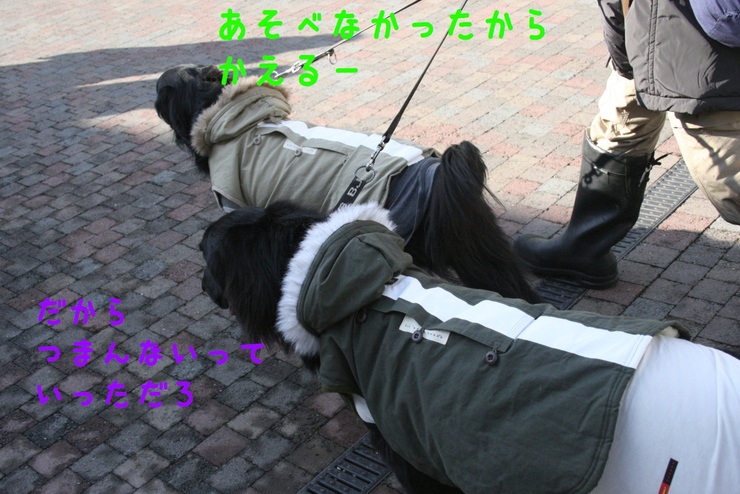 c0237824_0563112.jpg
