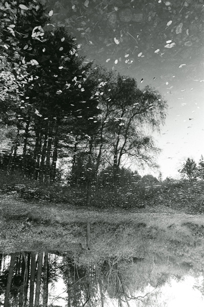 f0182924_2291890.jpg