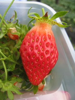 c0134734_1114143.jpg