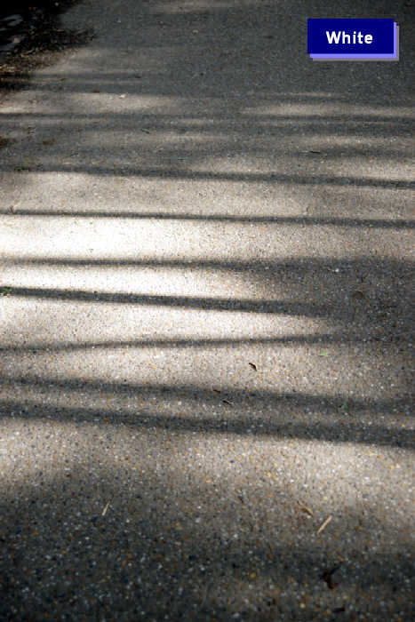 c0227134_644647.jpg
