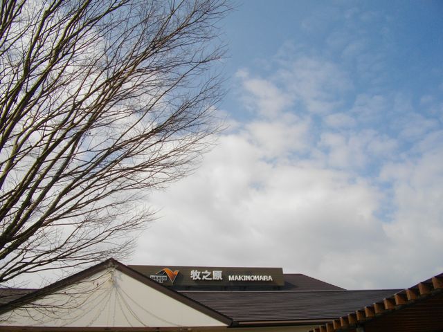 c0101739_19214598.jpg