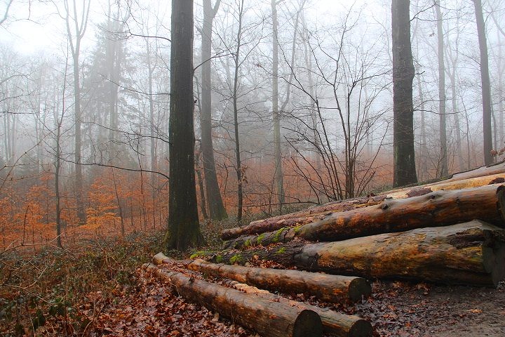 c0153740_19281017.jpg