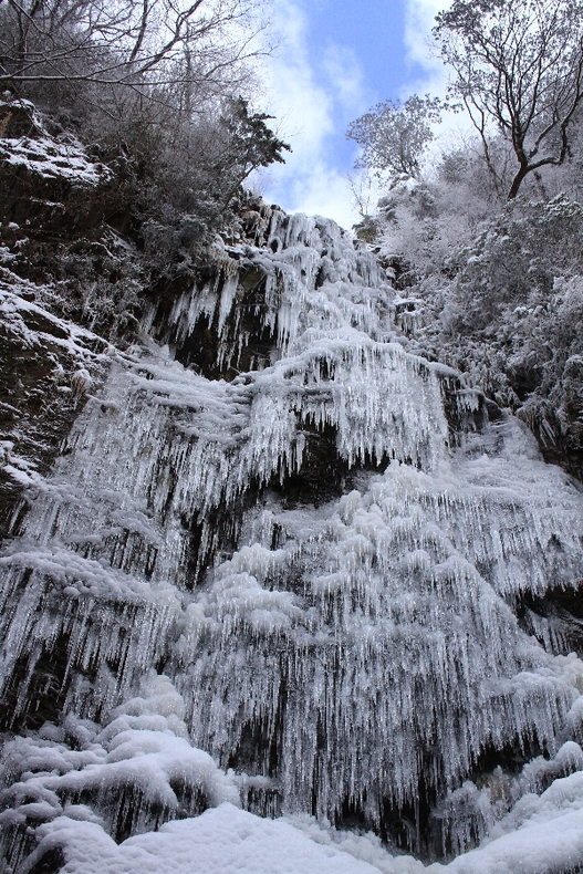 e0077041_238349.jpg