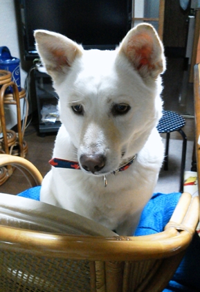 f0195543_1724498.jpg