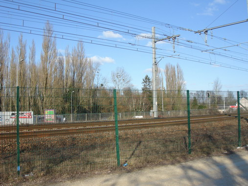 a0247585_0114614.jpg