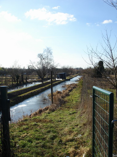 a0247585_016883.jpg
