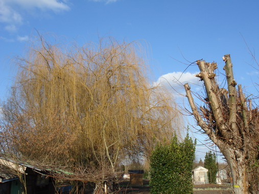 a0247585_030520.jpg