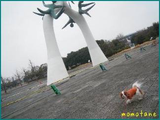 d0044986_12474169.jpg