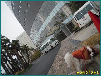 d0044986_12482839.jpg