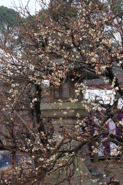 e0051888_2271747.jpg