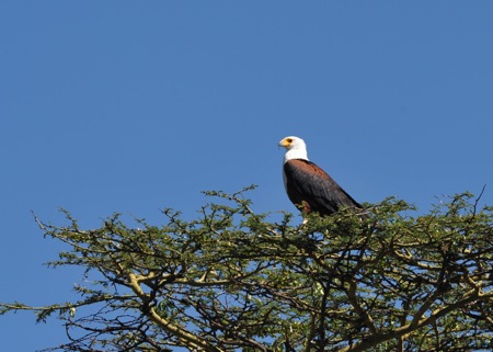 f0159390_14195640.jpg