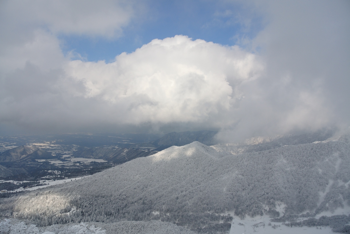 c0138991_0123952.jpg