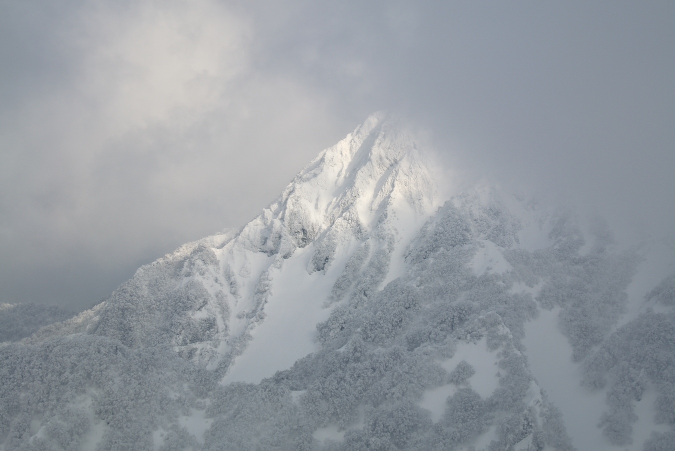c0138991_0154749.jpg