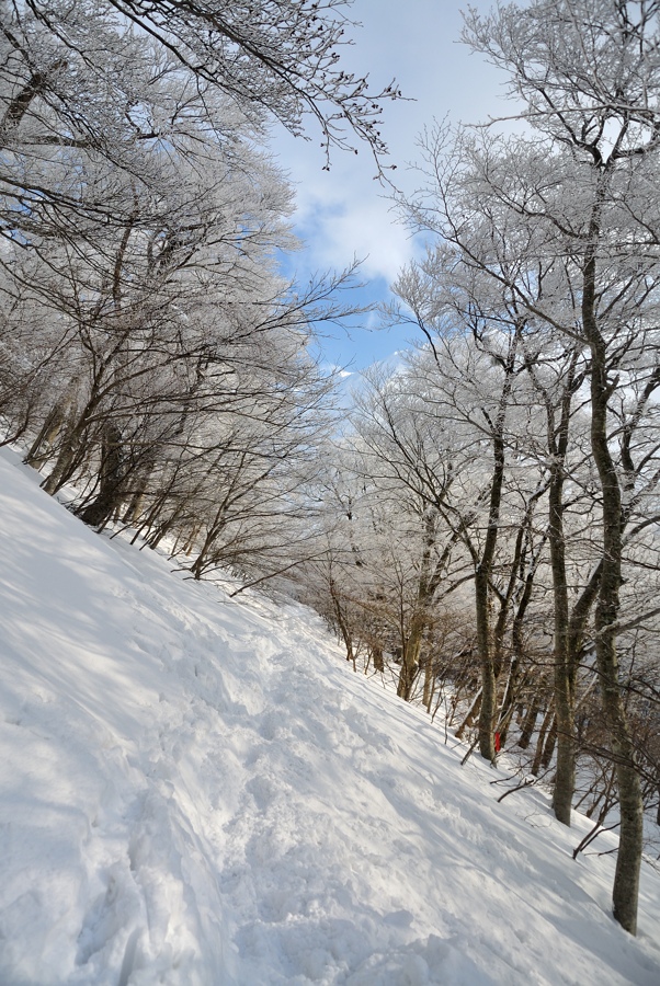 c0138991_16243.jpg