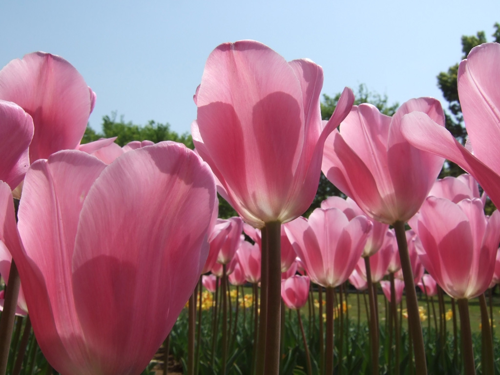 f0201297_8493229.jpg