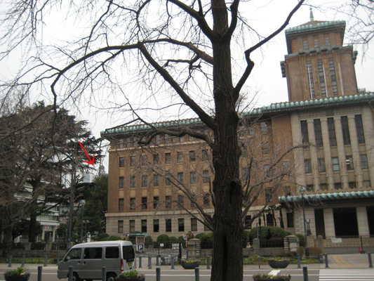 b0097200_20561846.jpg