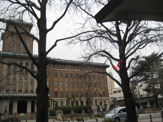 b0097200_2057253.jpg
