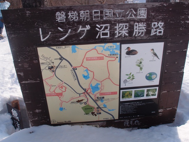 e0018604_1363721.jpg