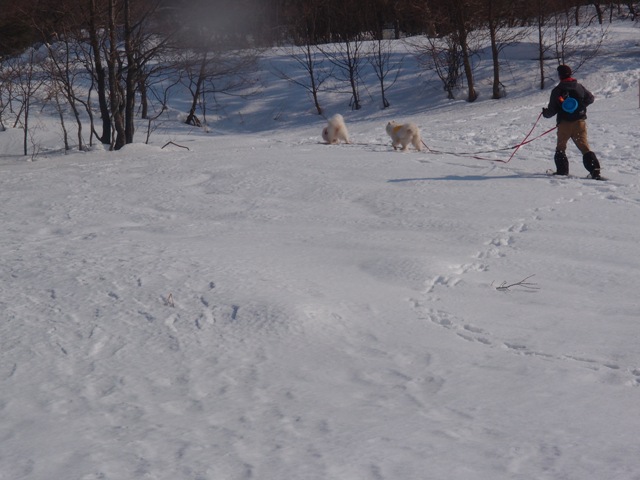 e0018604_137958.jpg