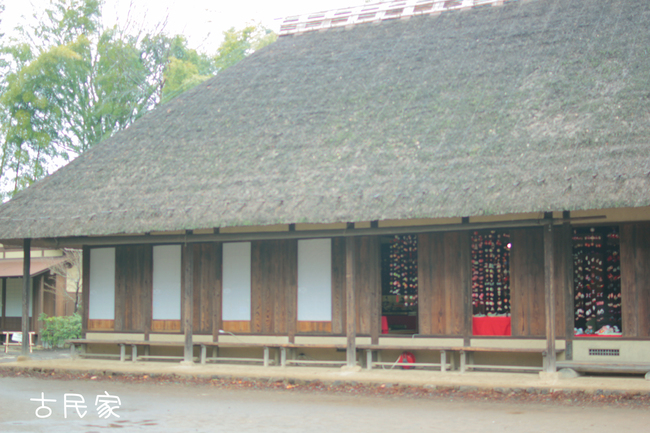 c0186410_814266.jpg
