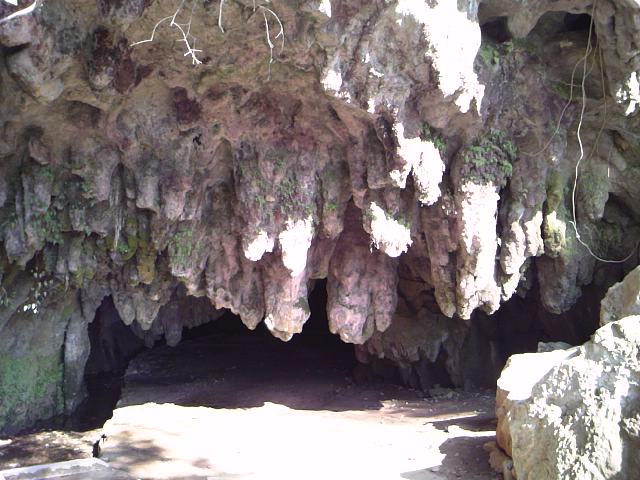 e0238313_20434643.jpg