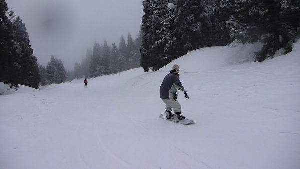 f0085417_1052443.jpg