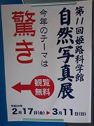 f0191517_153174.jpg