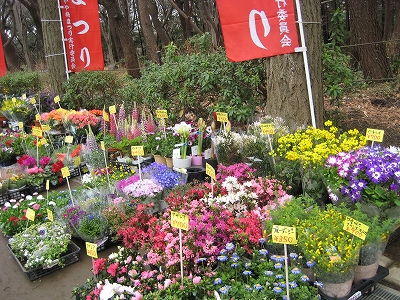 e0170519_23245144.jpg