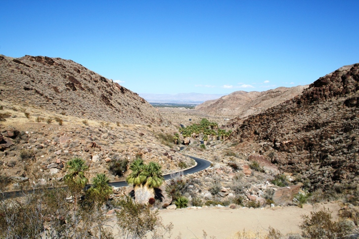 d0027320_2038222.jpg