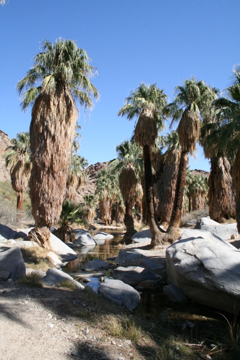 d0027320_20405677.jpg