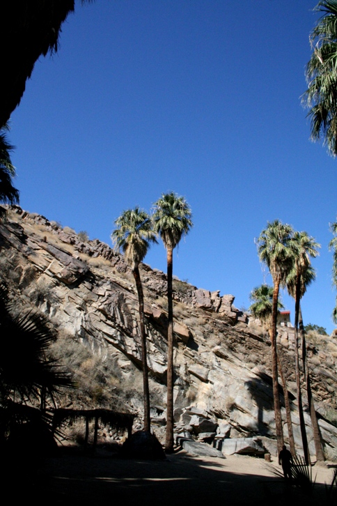 d0027320_20412525.jpg