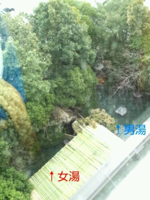 c0108128_1084380.jpg