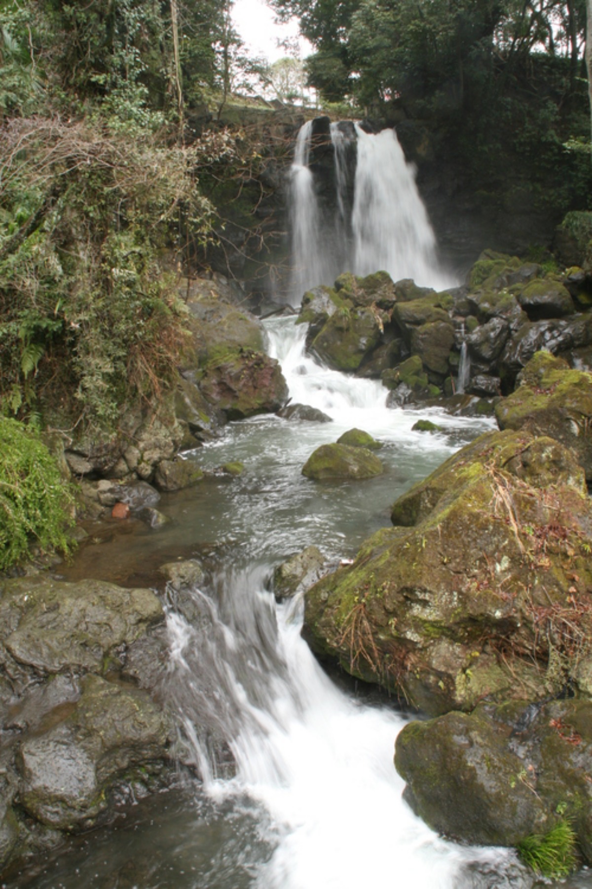 e0033229_22335035.jpg