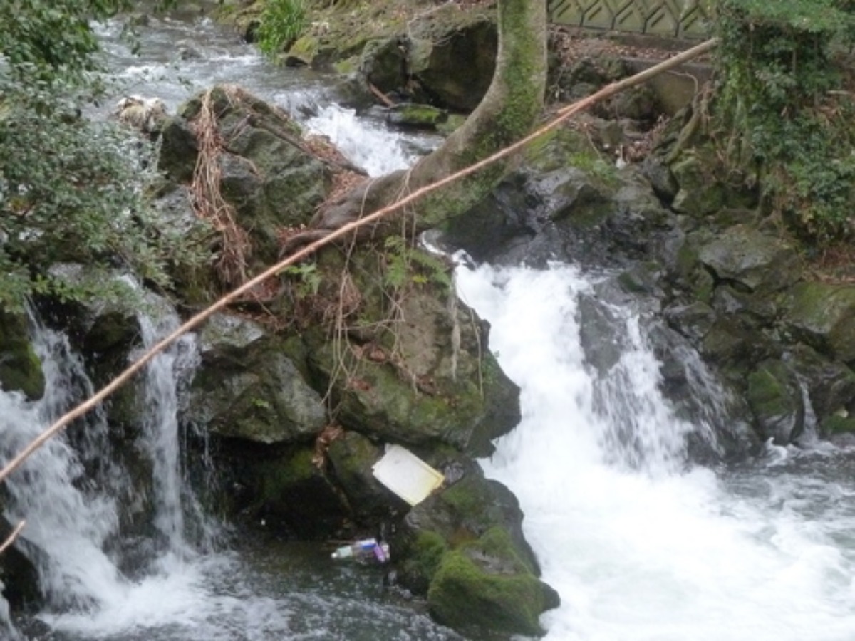 e0033229_22393894.jpg