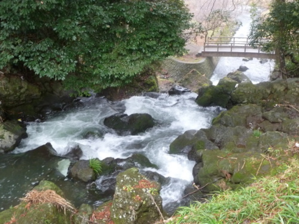 e0033229_2244426.jpg