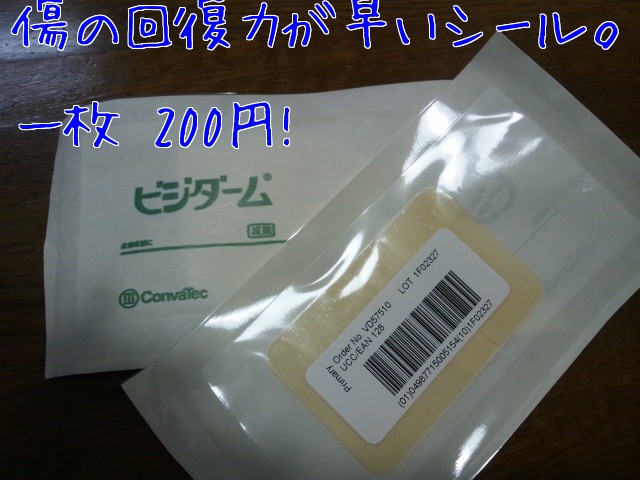 c0029442_2326316.jpg
