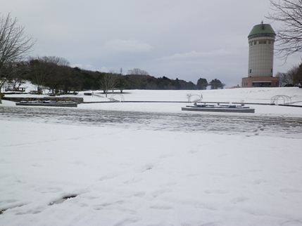 b0220251_20255184.jpg