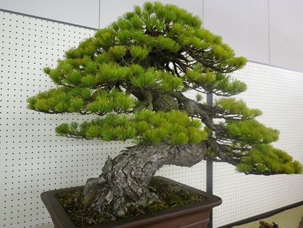 b0220251_204255100.jpg