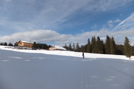 f0161652_6184390.jpg
