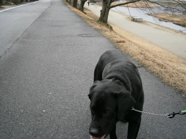 c0128862_17581684.jpg