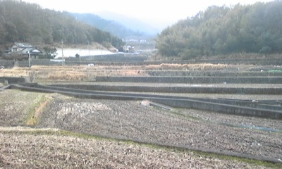 e0143667_1335914.jpg