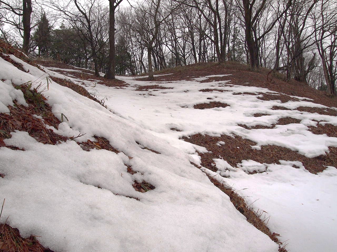 c0022275_1931144.jpg